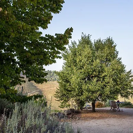 Feelnature Douro Vedeal Vineyard * Pinhão