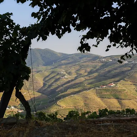 Kır Evi Feelnature Douro Vedeal Vineyard *