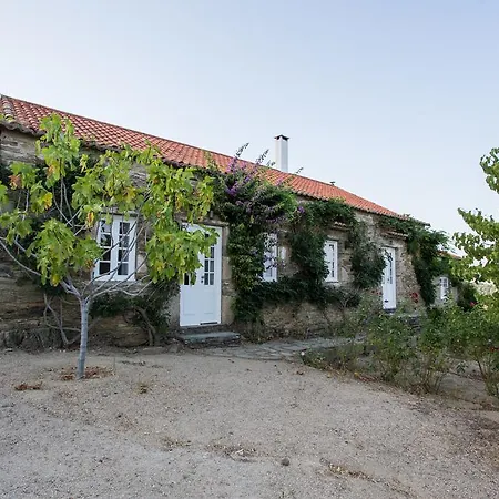 Feelnature Douro Vedeal Vineyard