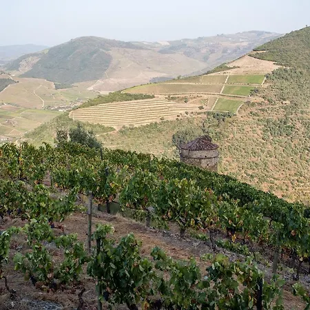 Feelnature Douro Vedeal Vineyard Hétvégi ház Pinhão