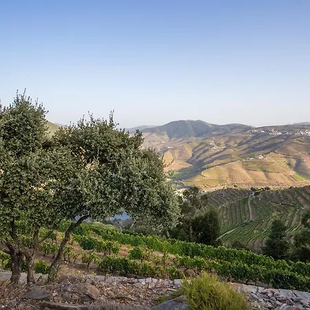 Feelnature Douro Vedeal Vineyard Hétvégi ház