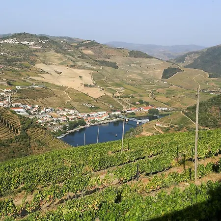 Feelnature Douro Vedeal Vineyard