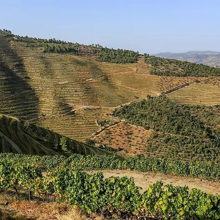 Feelnature Douro Vedeal Vineyard Hétvégi ház *